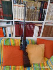 Remington 81 .300 Savage