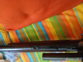 Remington 81 .300 Savage