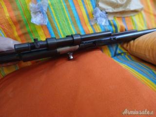 Remington 81 .300 Savage