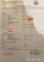 Balestra pistola di libera vendita/detenzione - cobra system adder