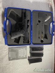 Ruger | Sturm AR556 .223 Remington