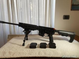 Ruger | Sturm AR556 .223 Remington