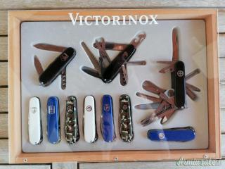 Victorinox forze armate