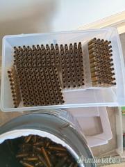 Bossoli 223 Remington