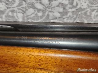 Beretta A 304 Silver Lake GA 12 12