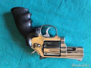 Smith & Wesson 686-1 .357 Magnum  |  9x31mmR  | .353 Casull