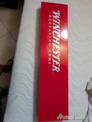 Winchester Sx4 composite  12