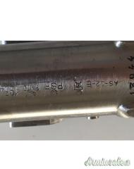 Beretta ASE 12