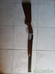 Fabarm Slug 12