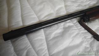 Montefeltr 20