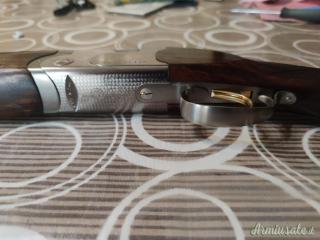 Beretta 686 onyx / Excelsior ha still  12