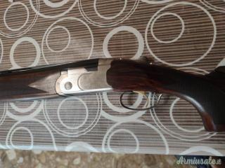 Beretta 686 onyx / Excelsior ha still  12