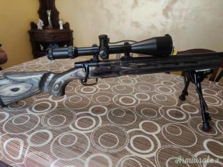 CZ | Ceska Zbrojovka CZ 550 .308 Winchester