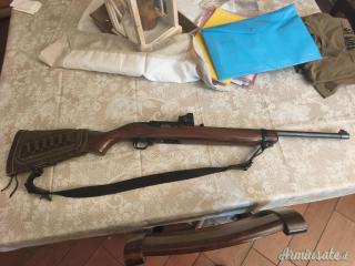 Ruger | Sturm Mini  .44 Remington Magnum