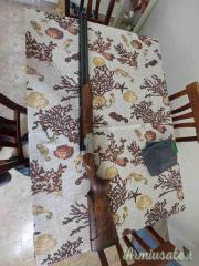 Beretta dt 11 trap 12
