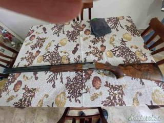 Beretta dt 11 trap 12