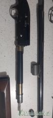 Bernardelli S Umberto2 12