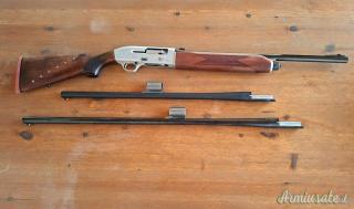 Beretta 302 12