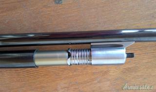 Beretta 302 12