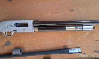 Beretta 302 12