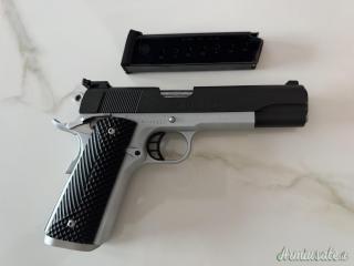 Springfield 1911 .45 ACP