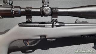 Remington 597 .22 Long Rifle