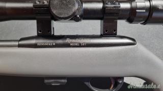 Remington 597 .22 Long Rifle