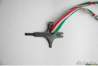 hammerli 160 pistola libera .22 LR Long Rifle