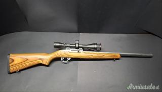 Ruger 10/22 Target Stainless Laminate .22 Long Rifle