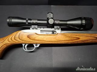 Ruger 10/22 Target Stainless Laminate .22 Long Rifle