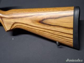 Ruger 10/22 Target Stainless Laminate .22 Long Rifle