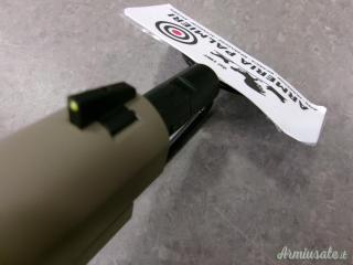 SIG SAUER 1911-22 CAL 22 LR  RIF  ARMIUS_6684