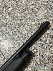Stoeger M3020 20