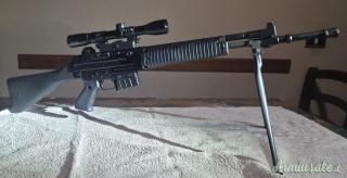 Beretta Ar 70 .222 Remington