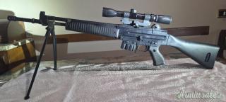 Beretta Ar 70 .222 Remington