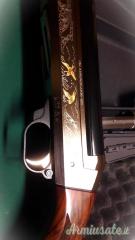 Benelli raffaello 12
