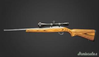 Ruger 10/22 Target Stainless Laminate  .22 Long Rifle