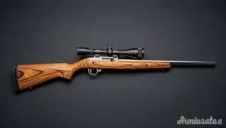 Ruger 10/22 Target Stainless Laminate  .22 Long Rifle