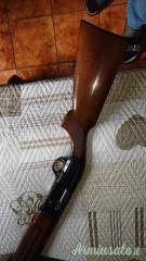 Beretta a303 12
