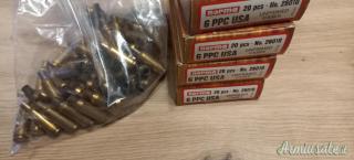 BOSSOLI NORMA 6PPC