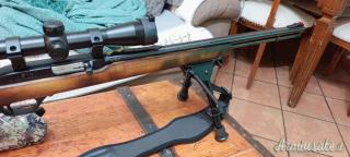 Marlin 60