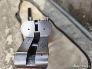 Zoli Antonio Extra  12