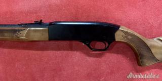 Carabina Winchester Mod. 290 Cal. 22 Long Rifle