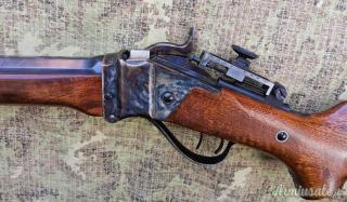 Pedersoli Sharps .45-70 Government