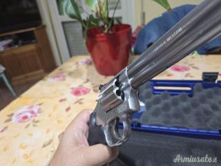 Smith & Wesson 686 .357 Magnum  |  9x31mmR  | .353 Casull