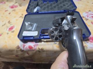 Smith & Wesson 686 .357 Magnum  |  9x31mmR  | .353 Casull