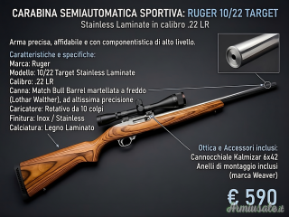 Ruger 10/22 Target Stainless Laminate .22 Long Rifle