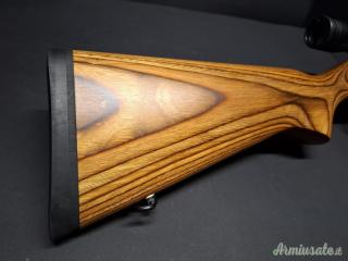 Ruger 10/22 Target Stainless Laminate .22 Long Rifle