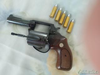 Charter Bulldog .44 Special