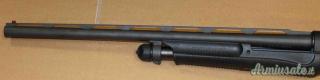 Benelli Nova 12 12